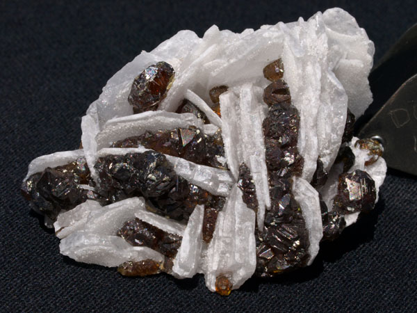2487a_Sphalerite-Barite_ManuelitaMine_MorococcaDistrict_Peru