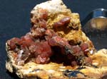 2172_Rhodochrosite_Westphalia