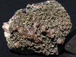2176a_Quartz-Hedenbergite_IronCapMine_LandsmanCamp_AZ
