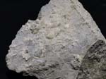 2179_Artinite_StatenIsland_NY