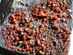 2181b_Vanadinite_AZ