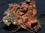 2182_Hemimorphite_LaQuellaMine_Mapimi_Durango_Mexico