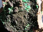 2184c_Adamite_Mexico