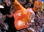 2206d_Wulfenite_Tecoma_UT