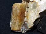 2450a_Beryl_BiermanQuarry_Portland_CT