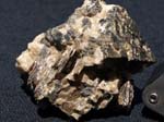 2453b_Spinel_Franklin_NJ