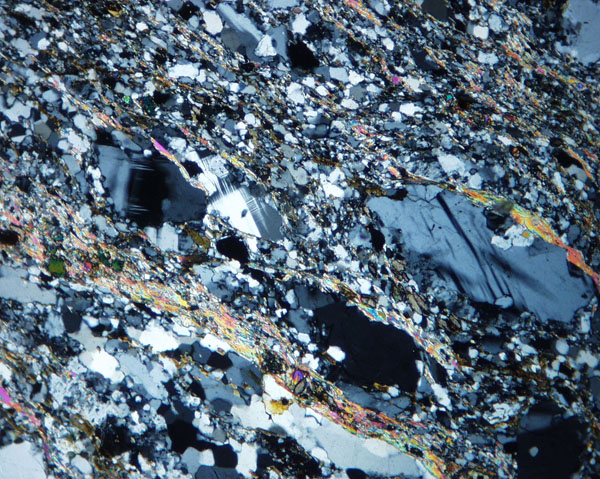 BrevardMylHendersnGnXN