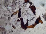 W02_TS_PC021380