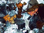W07_LN_PC021365