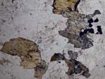 W07_LN_PC021374