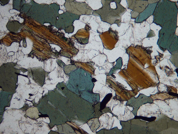 N576_COhaPL02