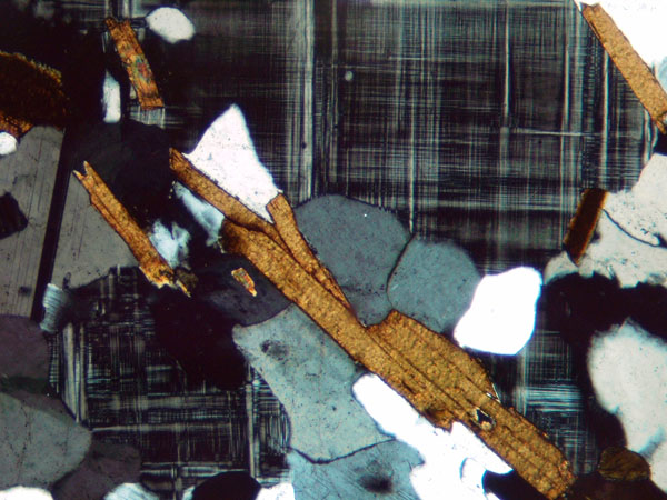 N811_Zy02XN_P3180691