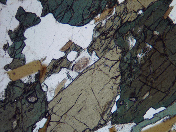 N814_Yf01PL_P3180707