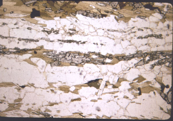 n2796a