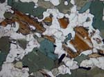 N576_COhaPL02
