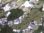 N578-03a_COha01PL
