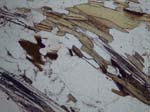 N578-04_COh02PL