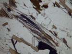 N578-04_COh42PL