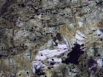 N578-12_Os01PL
