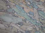 N589_COha01PL