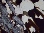 N592_COh02PL