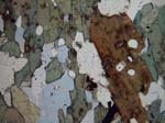 N606_COha01PL