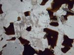 N614_COh01PL