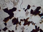 N614_COh06PL