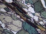 N650_COha02PL