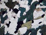 N655_Yfa02PL