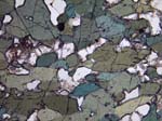 N658_COha02PL