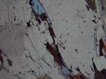 N701A_COh04PL