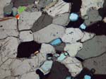 N702_COi02XN