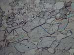 N702_COi03PL