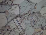 N710_COi02PL