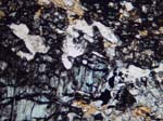 N710_COi05PL