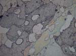 N716_COi02PL