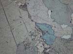 N717_COi02PL
