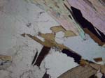 N751_COh02PLN