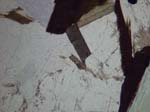 N753_COh01PL