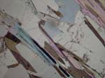 N754_COh01PL