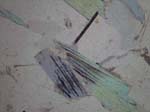 N755_COh01PL