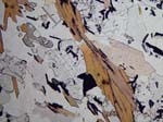 N769B_OwPL