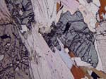 N773_02_COhPL