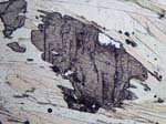 N773_03_COhPL