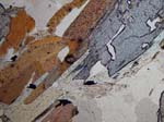 N774B_04_OwPL