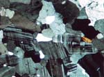 N812_Zy01XN_P3180695