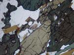 N814_Yf01PL_P3180707