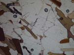 N814_Yf02PL_P3180713