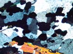 N820_COhcXN01